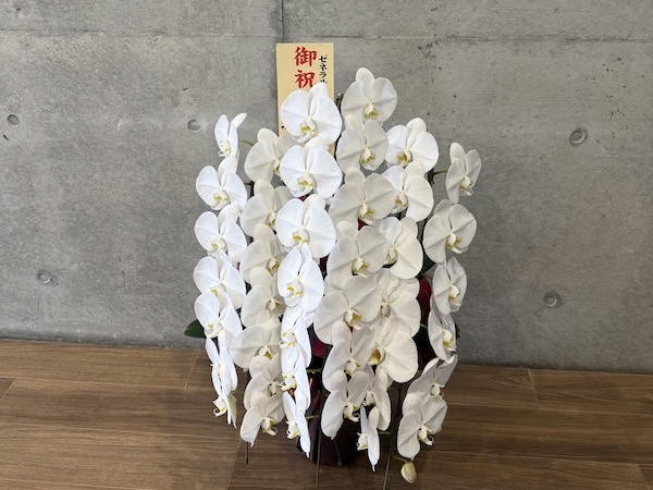 内覧会が無事に終了いたしました✨